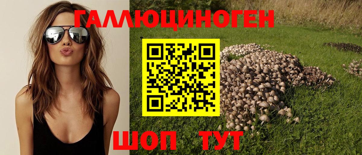 Галлюциногенные грибы MAGIC MUSHROOMS  Вход с VPN  Ливны 